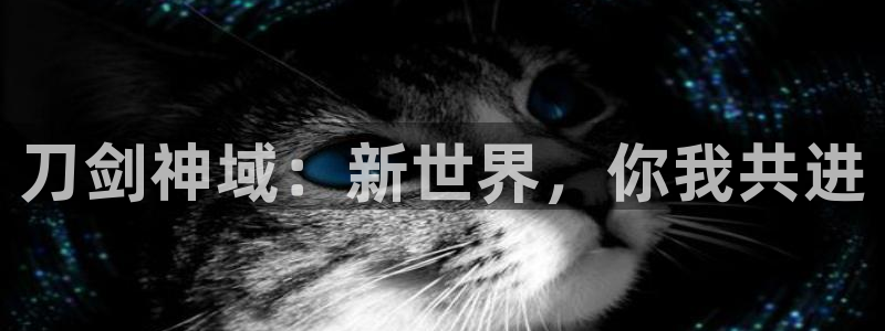 恩佐娱乐平台正规吗知乎：刀剑神域：新世界，你我共进