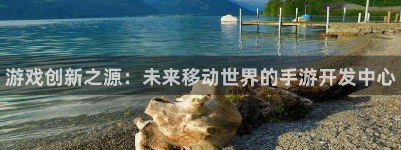 恩佐娱乐手机版最新功能介绍大全：游戏创新之源：未来移动世界的