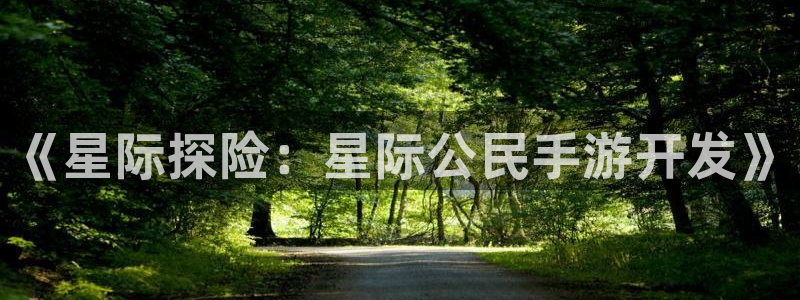 恩佐娱乐平台正规吗安全吗：《星际探险：星际公民手游开发》