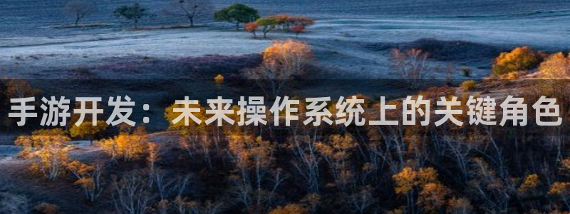 恩佐娱乐1：手游开发：未来操作系统上的关键角色