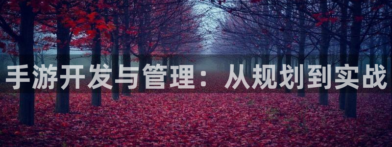 恩佐娱乐：手游开发与管理：从规划到实战