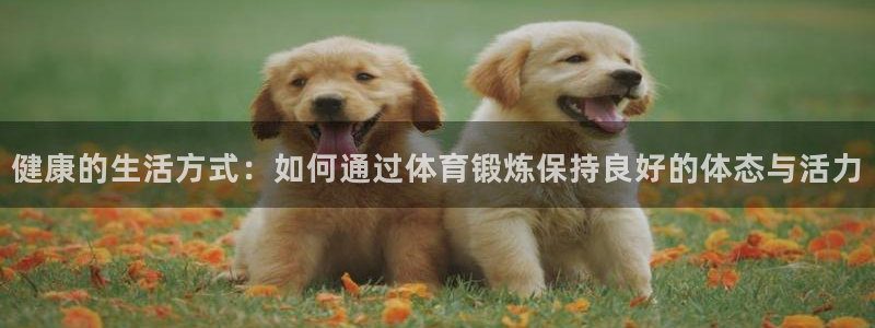 风速体育app：健康的生活方式：如何通过体育锻炼保持良好的体态与活力