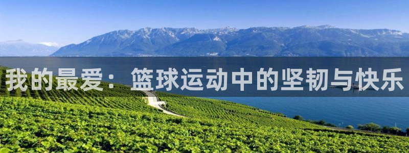风速体育app下载安装最新版本：我的最爱：篮球运动中的坚韧与快乐