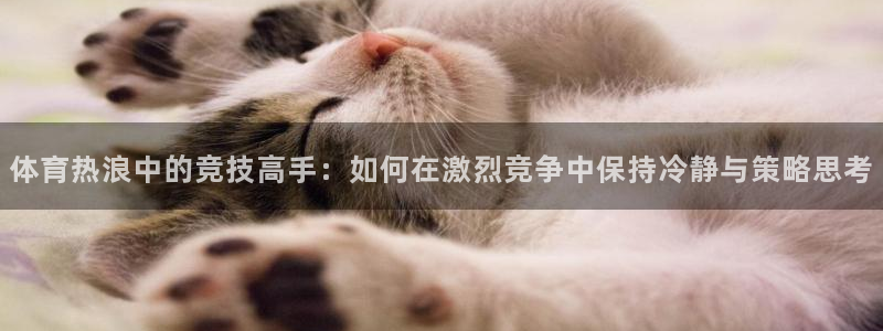 风速体育：体育热浪中的竞技高手：如何在激烈竞争中保持冷静与策略思考