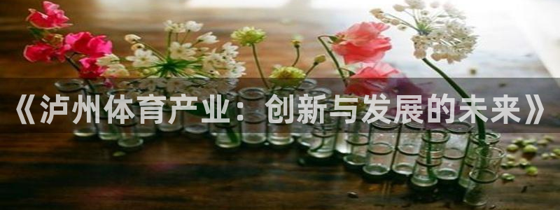 风速体育：《泸州体育产业：创新与发展的未来》