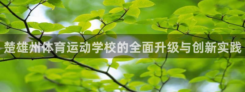 风速体育cba直播：楚雄州体育运动学校的全面升级与创新实践
