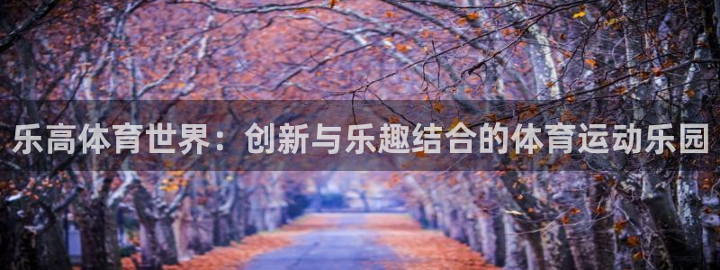 下载风速体育：乐高体育世界：创新与乐趣结合的体育运动乐园