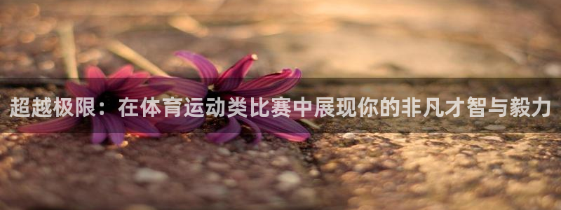风速体育下载：超越极限：在体育运动类比赛中展现你的非凡才智与毅力