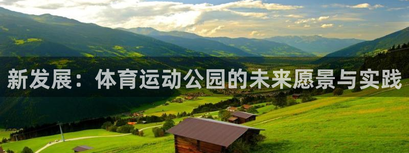 风速体育app：新发展：体育运动公园的未来愿景与实践