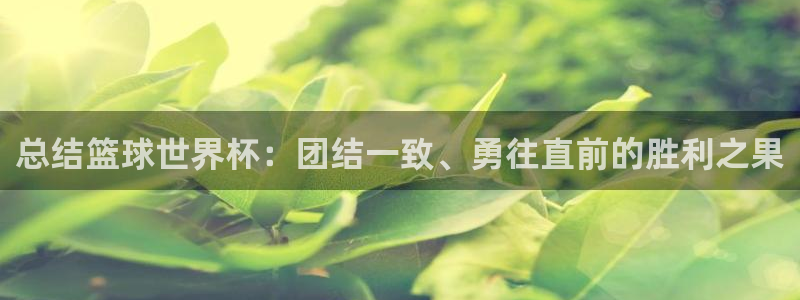 风速体育：总结篮球世界杯：团结一致、勇往直前的胜利之果