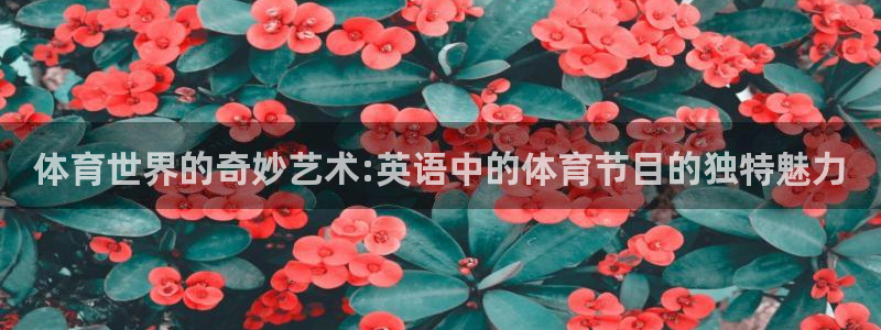 风速体育：体育世界的奇妙艺术:英语中的体育节目的独特魅力