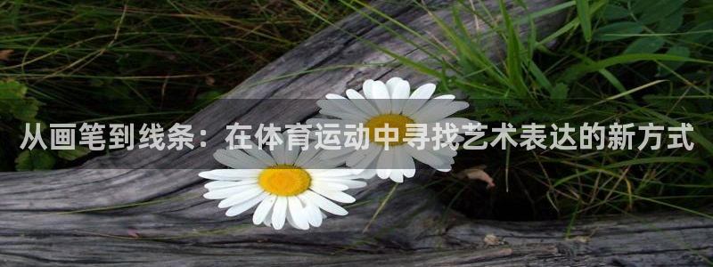 风速体育app下载官网最新版：从画笔到线条：在体育运动中寻找艺术表达的新方式