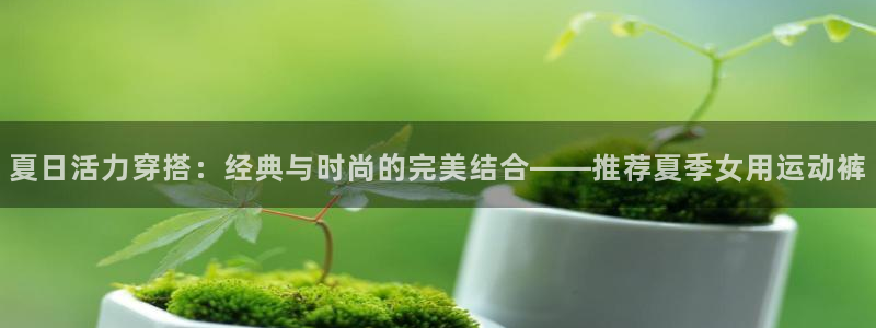 风速体育直播：夏日活力穿搭：经典与时尚的完美结合——推荐夏季女用运动裤
