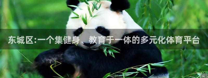 风速体育：东城区:一个集健身、教育于一体的多元化体育平台