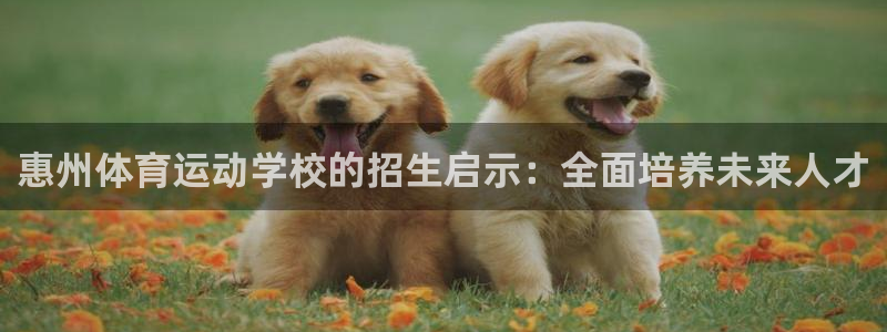 风速体育nba直播：惠州体育运动学校的招生启示：全面培养未来人才